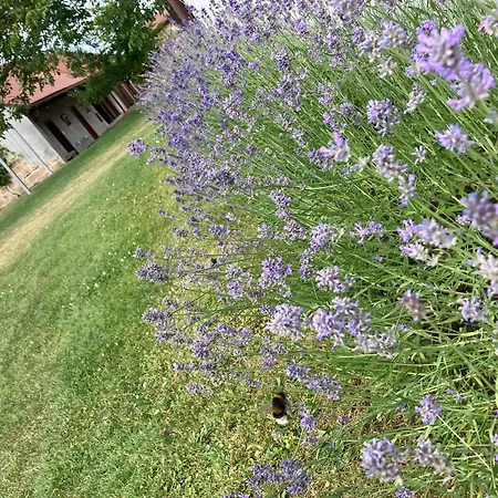 U Cerhu, - Cesky Raj Kněžmost